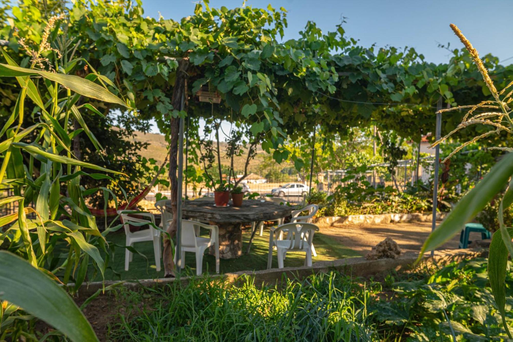 Balas House Holiday home Theologos (Thasos)